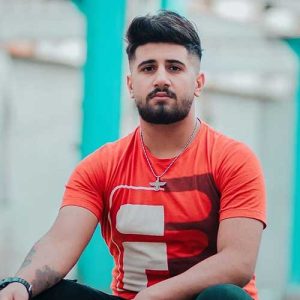 دانلود آهنگ علی حمیدی هزارتا زن خنه تی مار نوونه